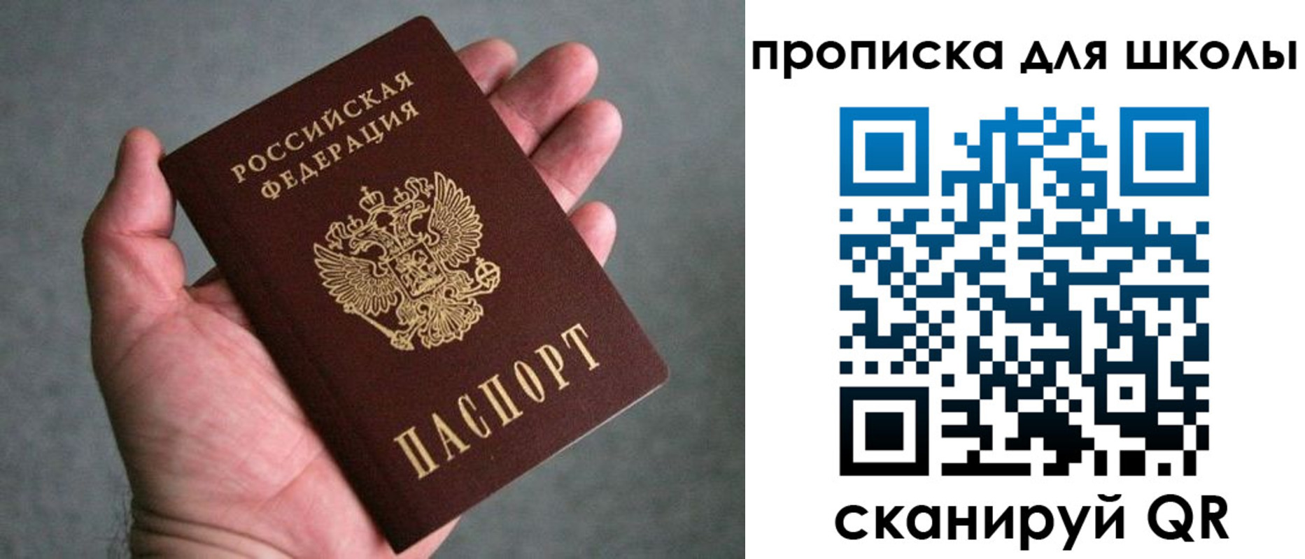 прописка штамп в Фрязино